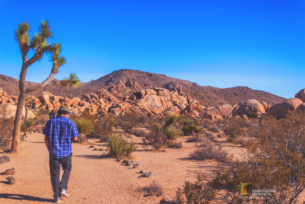 About Me 9 Gio was walking beside a Joshua Tree on Arch Rock Trail in Joshua Tree National Park, showcasing the serene beauty of the desert landscape.