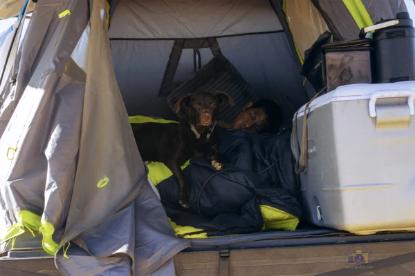 A candid medium shot inside a grey truck bed tent with neon green accents. A chocolate Labrador dog lies in the center, looking directly at the camera with an alert expression. Behind the dog, a dark-haired man is deeply asleep, partially covered by a dark blue sleeping bag. A large grey cooler is visible on the right side.\