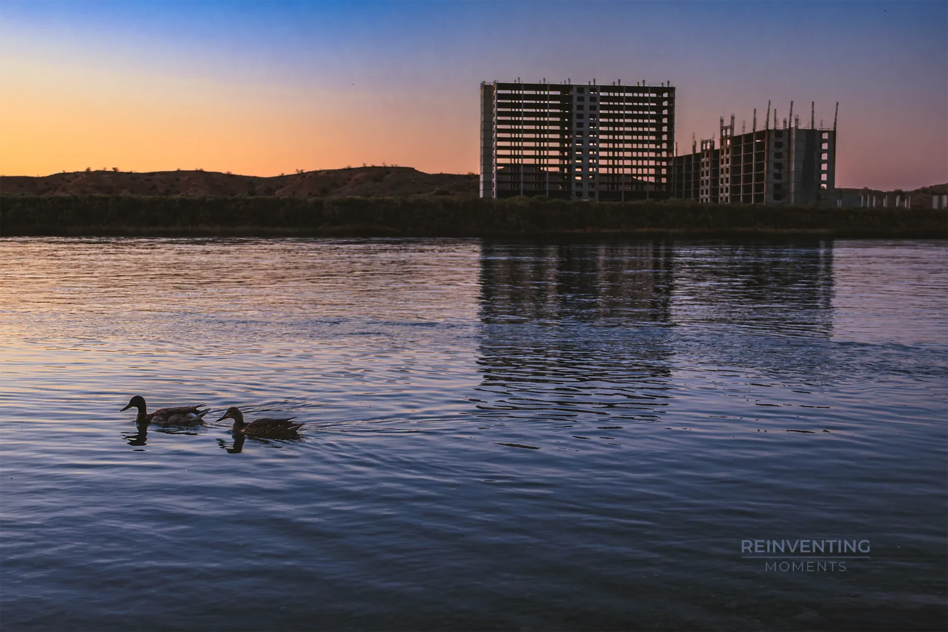 Two ducks swimming calmly on the blue waters of the Colorado River in Laughlin, Nevada, during a vibrant orange and purple sunset.